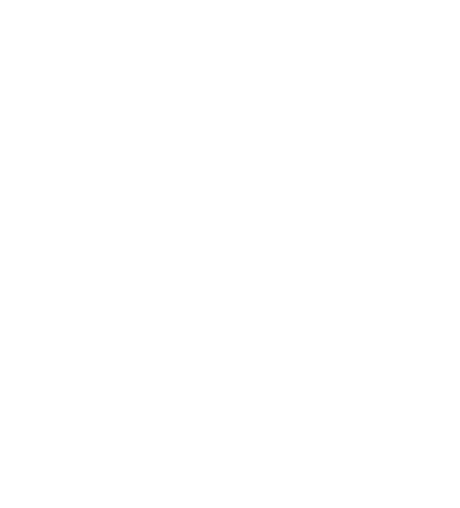 Web Development, App Development